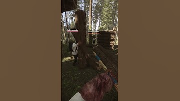 More Log Duping (Sons of the Forest)