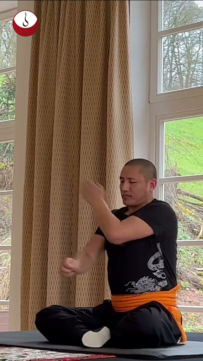 Tummo Inner Fire Practice - Tulku Lobsang Rinpoche in Action #shorts #tulkulobsang #tummo