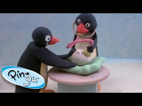 Pinga is Born! | Pingu Official | 1 Hour | Cartoons for Kids