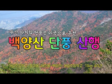 부산 백양산 단풍산행