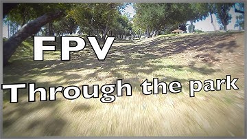 ZMR 250 - My best flight yet!