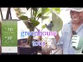 Greenhouse spring setup  rainpoint watering system