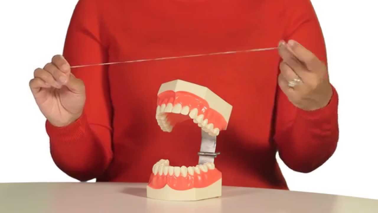 How to Floss Your Teeth - YouTube