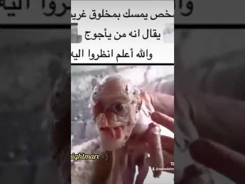 الجن العفاريت خوارق سكان جوف الأرض