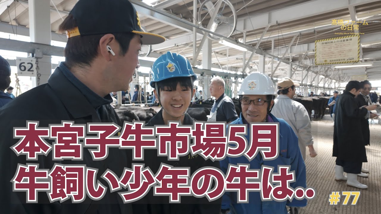 【本宮家畜市場】牛飼い少年が素晴らしい「髙橋ファーム」の日常