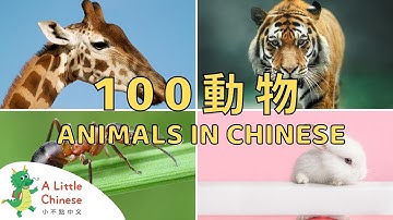 100 Animals in Chinese | 一百種動物的中文名稱 | Educational Video For Kids to Learn Chinese
