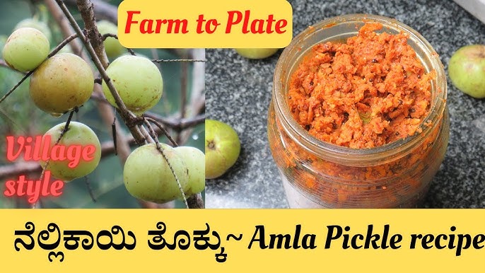 Nellikai Thokku Amla Pickle Gooseberry Oorugai Recipe