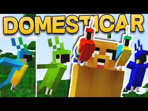 Video: En Minecraft, ¿cómo se domestica un loro?