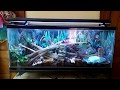 55 Gallon Crabitat | Land Hermit Crab Colony