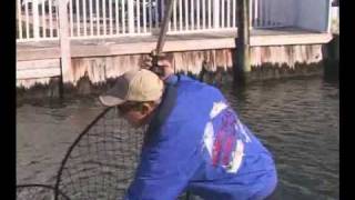 How to select the correct mesh style for your landing net