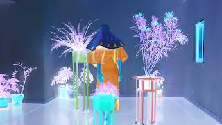 Information BIONIC PERSIAN HOUSE DREAM Update