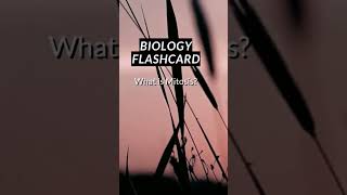 Biology Flashcards #biology #shorts #study screenshot 2