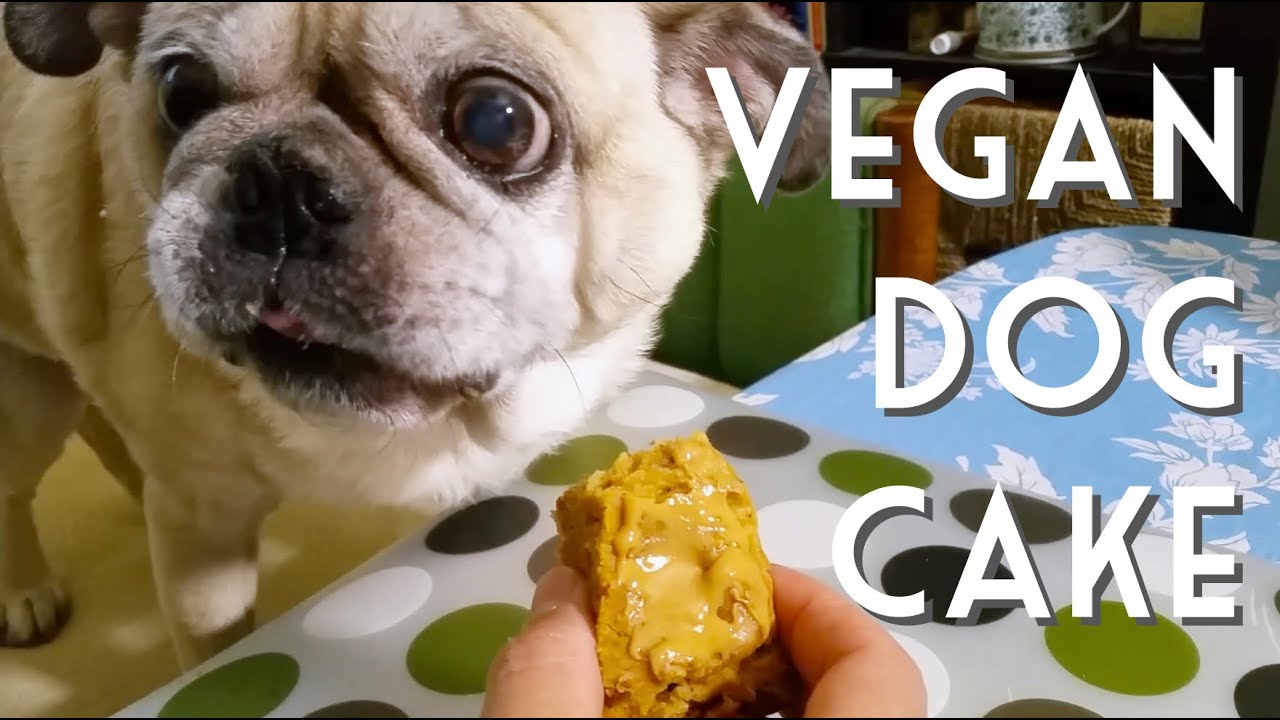vegan dog cake