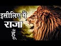 Motivational story of lion7  lion motivational  life changing motivational