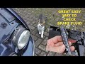 Cute cat insistent on quick brake fluid check