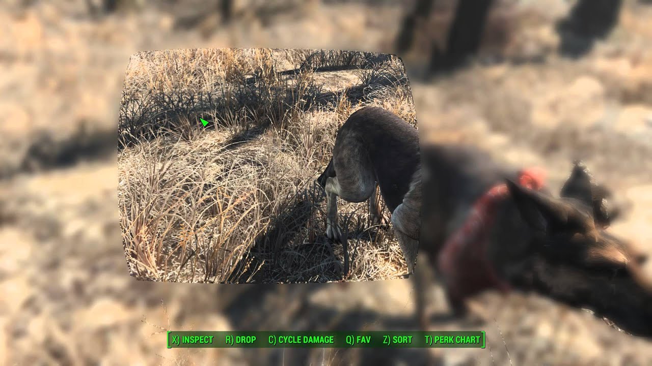 Fallout 4 Invisible Pipboy - YouTube