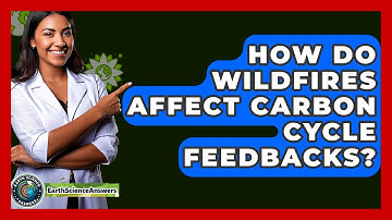 How Do Wildfires Affect Carbon Cycle Feedbacks? - Earth Science Answers