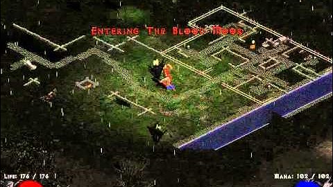 Diablo 2 Median XL Walkthrough (Amazon) #1