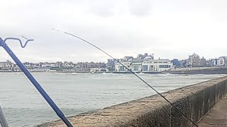 Mikey Zee is live fishing for mackerel and dolphin spotting watching waves @mikeyzee