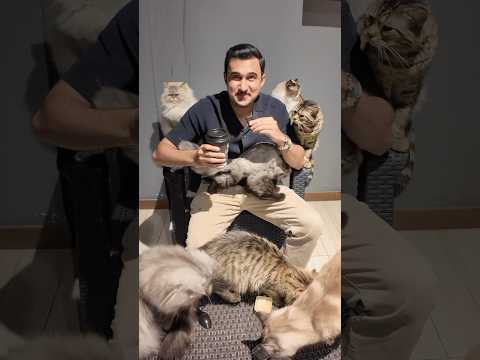 كافيه القطط في جدة عبدالعزيز اكرم