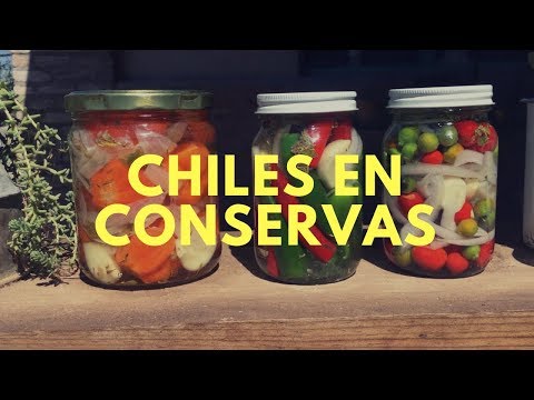 Video: Cómo Hacer Manzanas En Escabeche