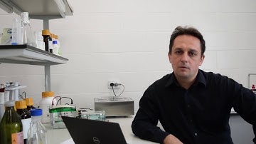 Laboratory: Molecular biosensing and biorobotics materials, group-leader Dmitry Kolpashchikov