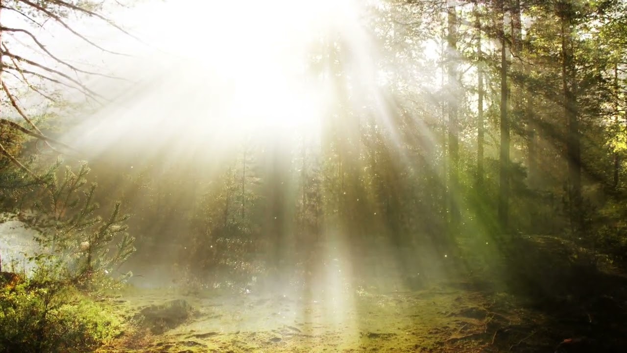 Bert Bruines - Wake up rise up sweet family (ft Joanka Jongsma)