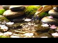 🌿 Relaxing Nature Sounds &amp; Soul-Soothing Music | Calm Your Heart &amp; Mind 🌊✨