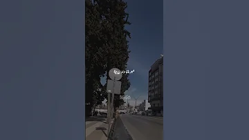 بيغرف قلبي من نظرة بلال ديركي ليه لأ 