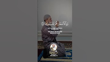 ﴿وَفي أَنفُسِكُم أَفَلا تُبصِرونَ﴾ سورة الذاريات #عبدالولي_الاركاني #abdulwali_alarkani