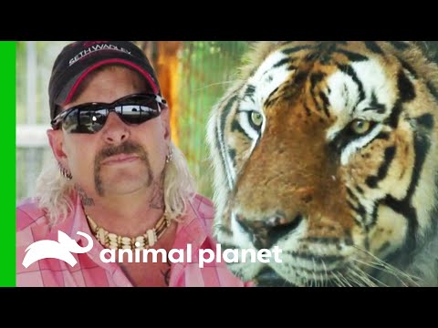 Sneak Peek: Surviving Joe Exotic