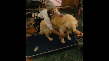 Assignment D - Using Undercoat Rake - Technique - Redo