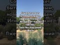 Признаки социопата: лишён эмпатии и склонен к манипуляциям!..#shorts #социопат #психология