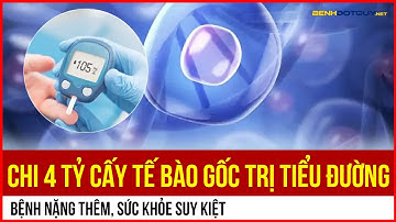 Chi 4 tỷ cấy tế bào gốc trị tiểu đường: Bệnh nặng thêm, sức khỏe suy kiệt