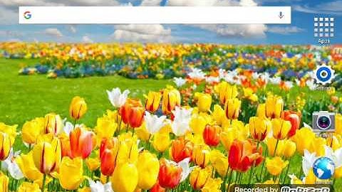 Hack your games with Lucky Patcher! Get FREE in-app purchases!