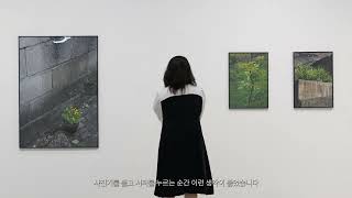 '소외의 중심' 김지현 개인전 interview