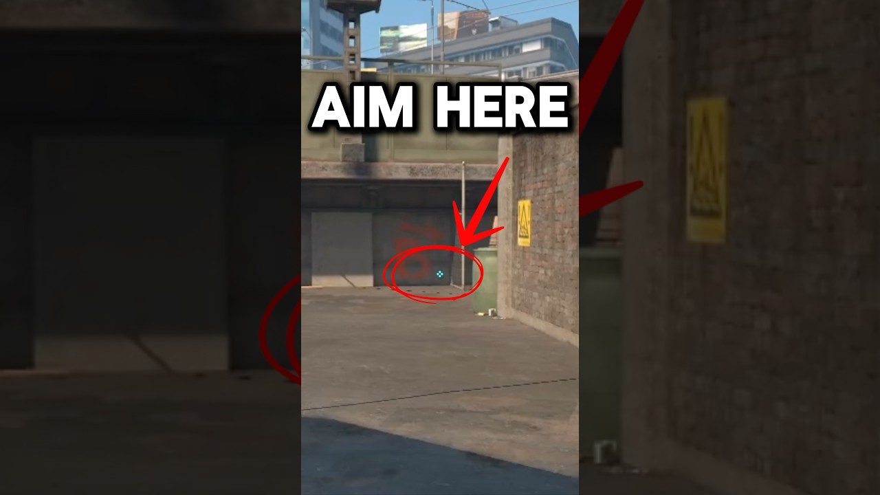 Никто не знает эту Молли, студентку CS2..👀