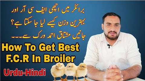 How To Get Best F C R And Good Weight In Broiler | Tips By Mushtaq Ahmed Virk | PPS Poultry