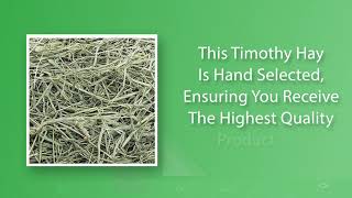 Small Pet Select 1st Cut Timothy Hay