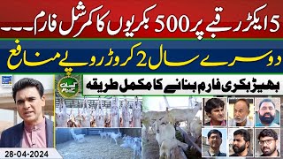 Commercial Sheep Goat farm| Goat vaccination plan| Goat farm Feasibility | Kissan Kay Naam | EP56