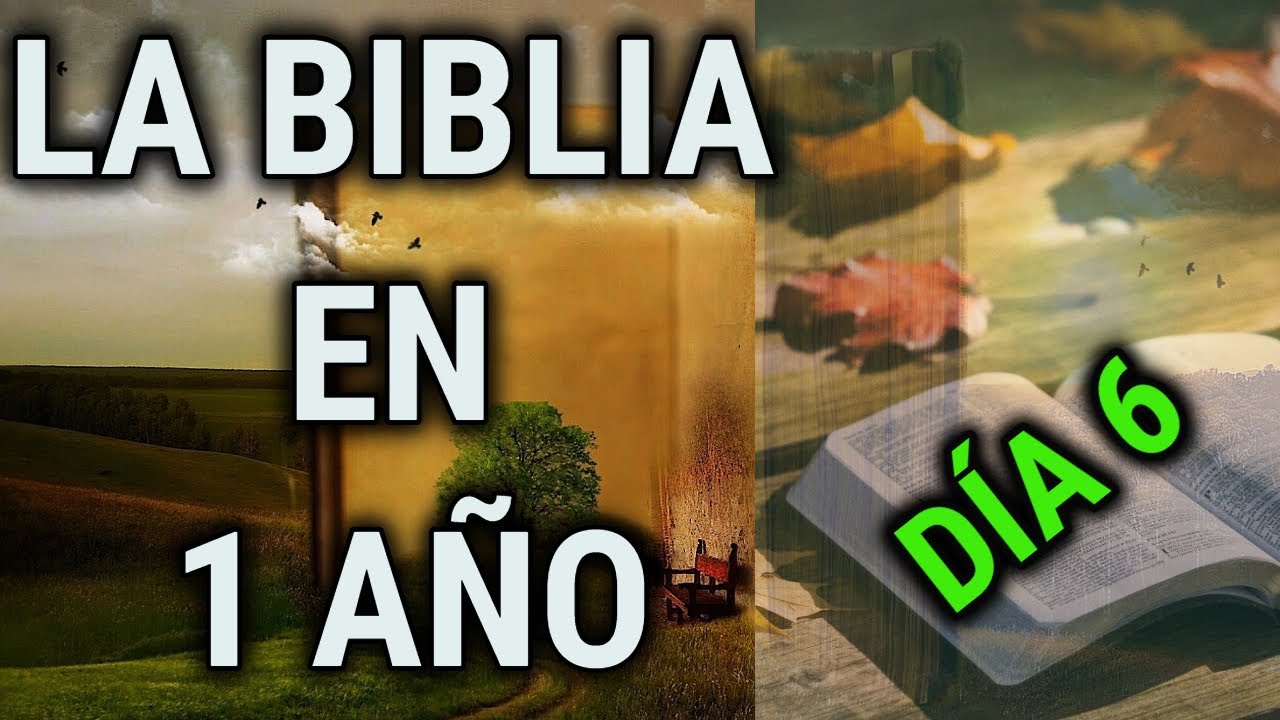 365 Días Película Completa En Español Youtube
