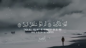 Surah As-Saffat Ameer Shamim |  تلاوة مؤثرة للقارئ عمير شميم