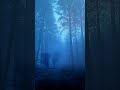 Dark Misty Forest at Blue Hour #darkforest #darkambient #nature