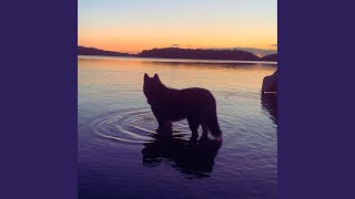 Waiting for the Sun
