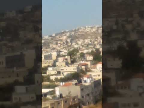 ١٢ نوفمبر ٢٠٢٢