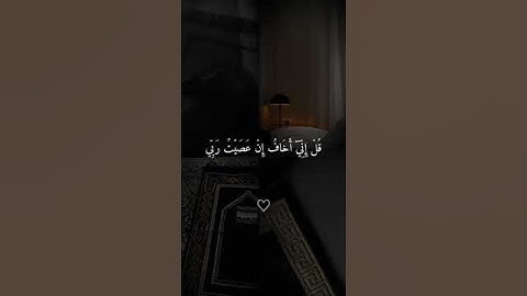 سورة الزمر - الآية 13قُلْ إِنِّي أَخَافُ إِنْ عَصَيْتُ رَبِّي عَذَابَ يَوْمٍ عَظِيمٍ