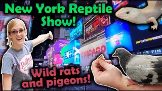 Attending the White Plains Reptile Expo! (New York Vlog)