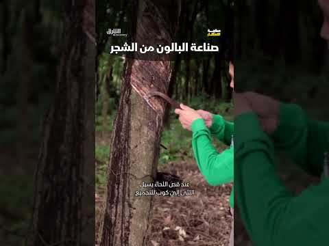 صناعة البالون من الشجر