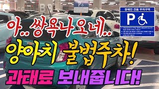 쌍욕이 근질근질! 양아치 불법주차! 과태료 날려줍니다!…