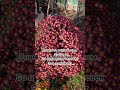 Доверие #понимание #время #любовь #психологияотношений #